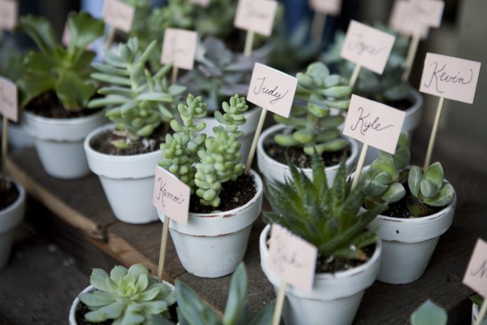 cadeaux personnalisés pour les invités d'un mariage