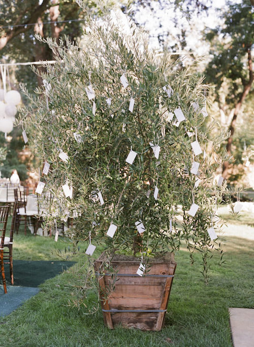 rituel cérémonie laique mariage