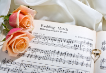 animation musicale mariage